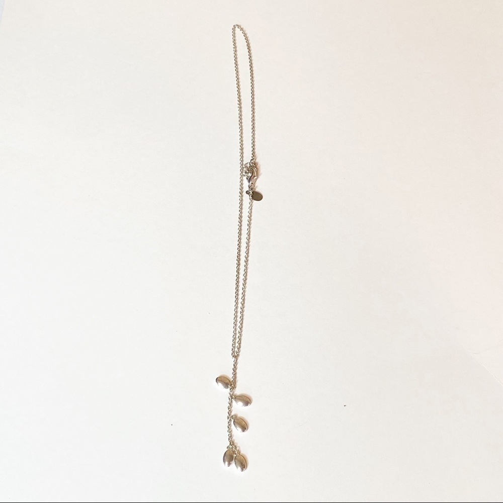 Silver Tone Long Necklace